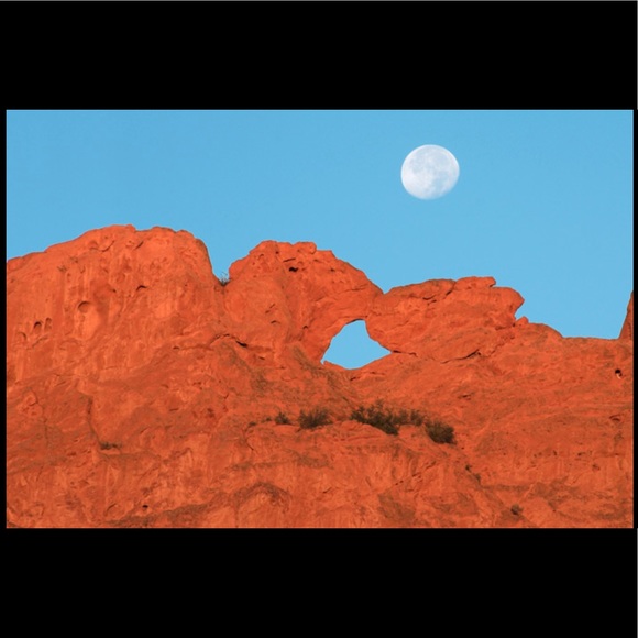 Meet your Posher, Tess - Picture 1 of 1